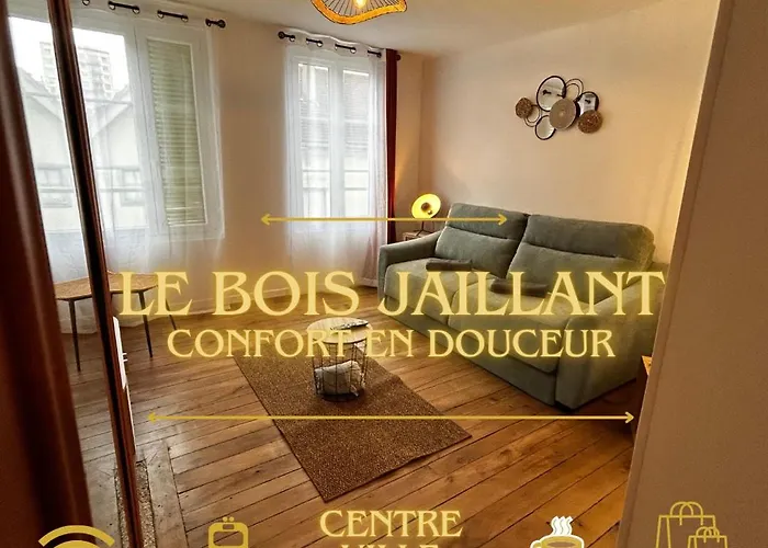 Le Bois Jaillant - Wifi - Centre Ville Historique - Proche Gare